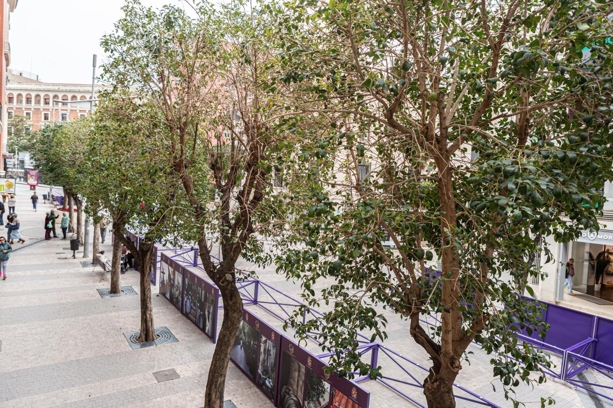 Royar Apartamentos Jaén Extérieur photo